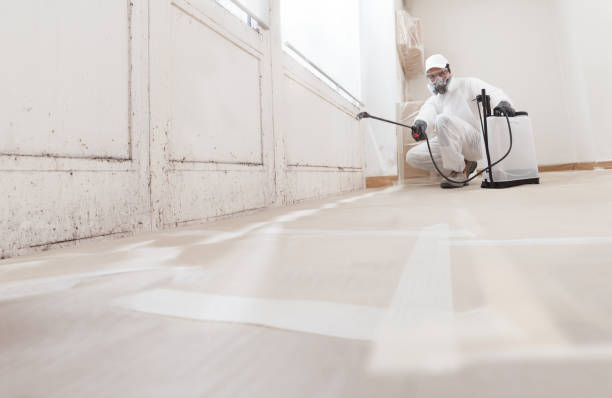 24/7 Emergency Attic Mold Removal experts in Glen Ridge, NJ
