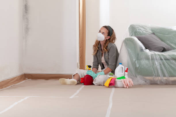 Reliable Mold Cleanup contractor in Glen Ridge, NJ by Cheap Mold Removal